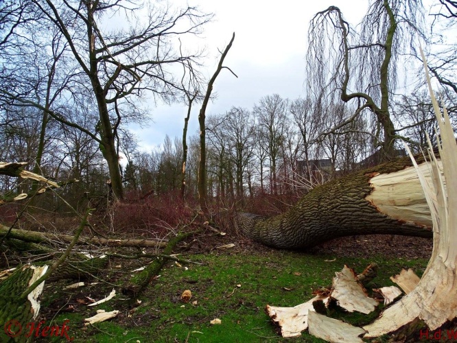 Storm terug in de tijd