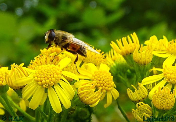 9 &amp; 10 &amp; 11 &amp; 12 juli 2024