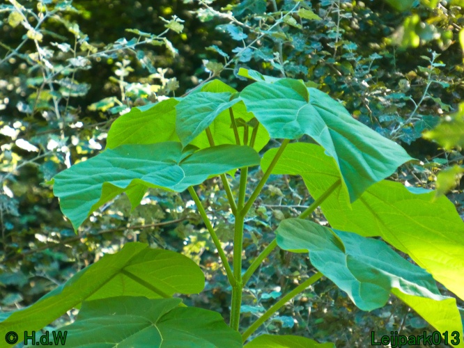 22 &amp; 23 &amp; 24 &amp; 25 augustus 2024