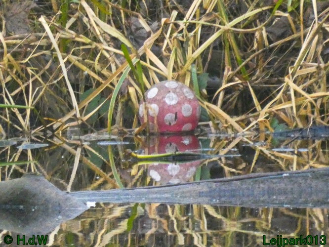 21 &amp; 22 &amp; 23 &amp; 24 januari 2025