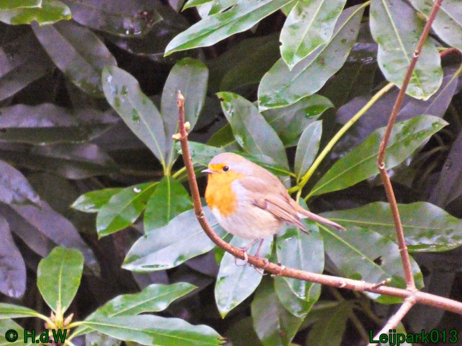 1 &amp; 2 &amp; 3 &amp; 4 januari 2025