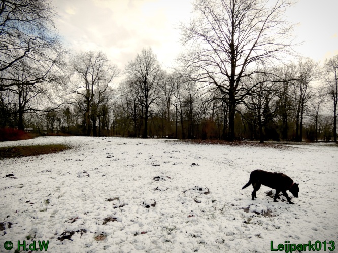 9 &amp; 10 &amp; 11 &amp; 12 januari 2025