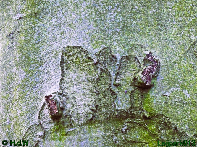 9 &amp; 10 &amp; 11 &amp; 12 januari 2025