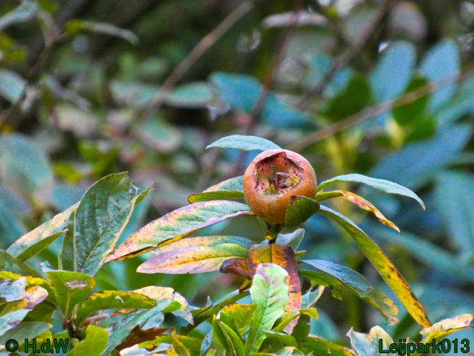 21 &amp; 22 &amp; 23 &amp; 24 oktober 2024