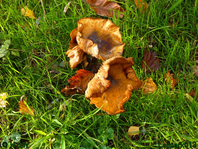 1 &amp; 2 &amp; 3 &amp; 4 oktober 2025