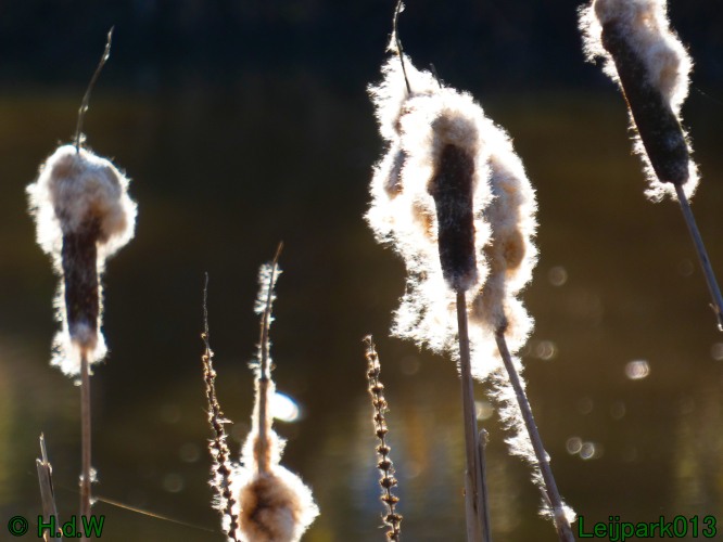 3 &amp; 4 &amp; 5 &amp; 6 april 2025