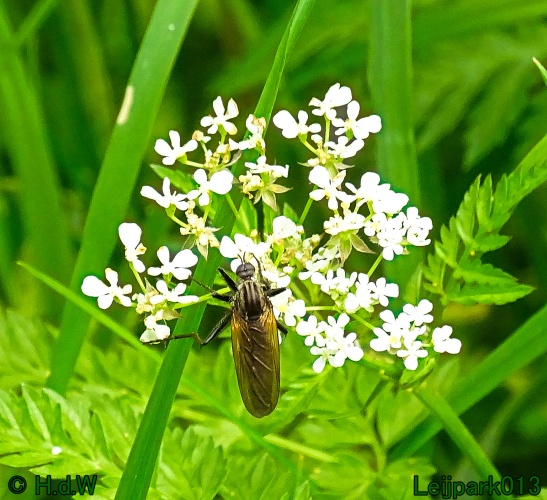 30 april 1 &amp; 2 &amp; 3 mei 2024