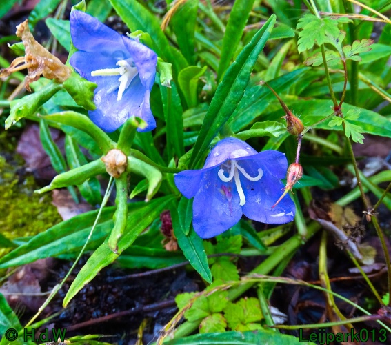 5 &amp; 6 &amp; 7 &amp; 8 juli 2024