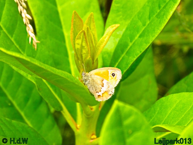 5 &amp; 6 &amp; 7 &amp; 8 juli 2024