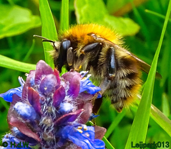 30 april 1 &amp; 2 &amp; 3 mei 2024