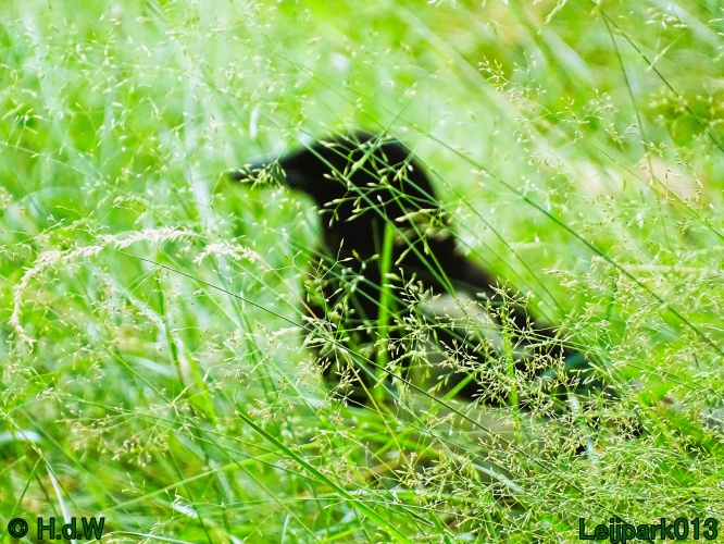 5 &amp; 6 &amp; 7 &amp; 8 juli 2024