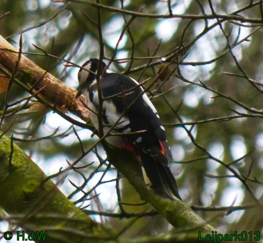 21 &amp; 22 &amp; 23 &amp; 24 januari 2025