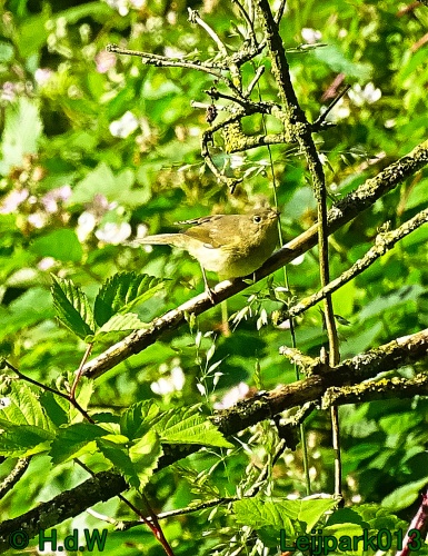 11 &amp; 12 &amp; 13 &amp; 14 juni 2024