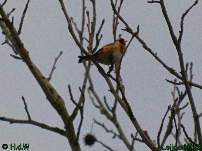 20 &amp; 21 &amp; 22 &amp; 23 december 2024