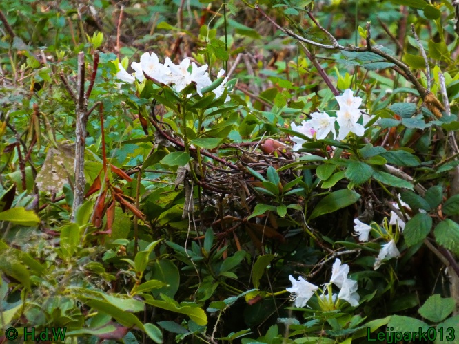 1 &amp; 2 &amp; 3 &amp; 4 oktober 2025