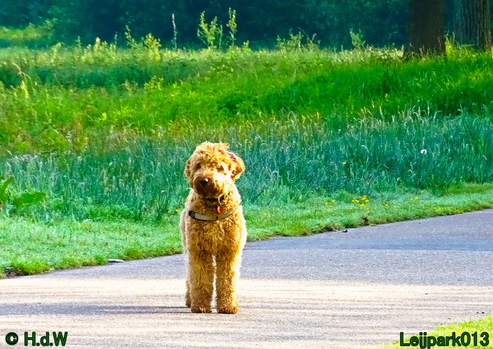 Beestenboel 12 mei 2024