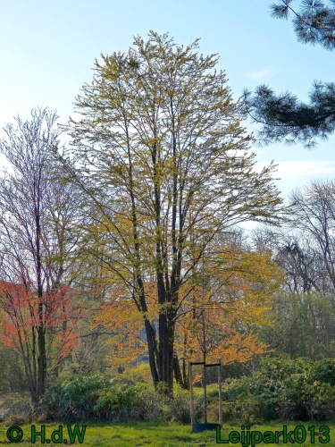 3 &amp; 4 &amp; 5 &amp; 6 april 2025