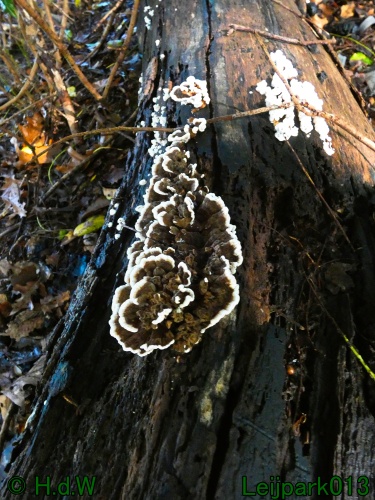 21 &amp; 22 &amp; 23 &amp; 24 oktober 2024