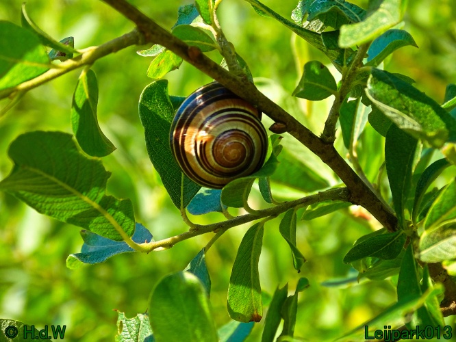 27 &amp; 28 &amp; 29 &amp; 30 juni 2024