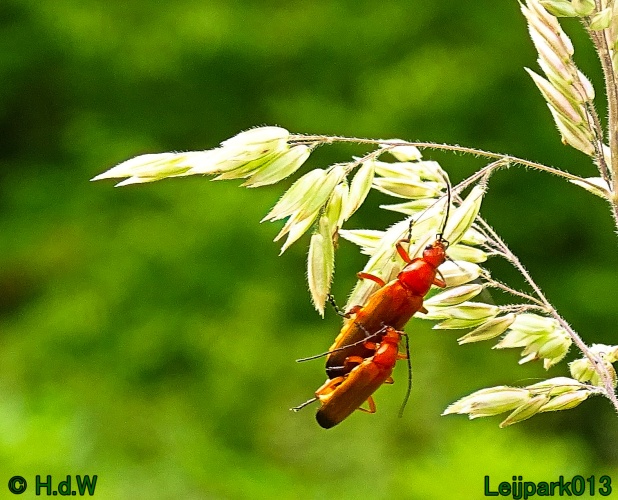 5 &amp; 6 &amp; 7 &amp; 8 juli 2024