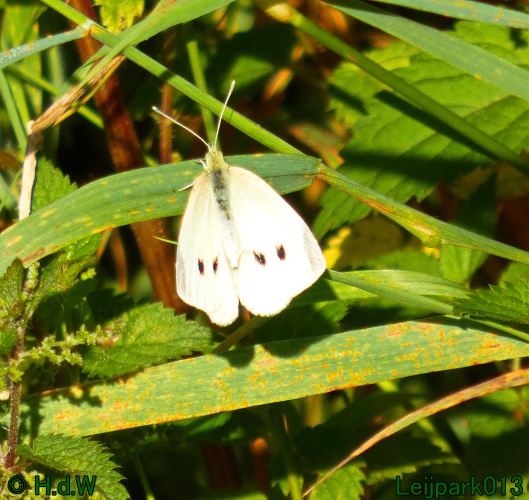 22 &amp; 23 &amp; 24 &amp; 25 augustus 2024