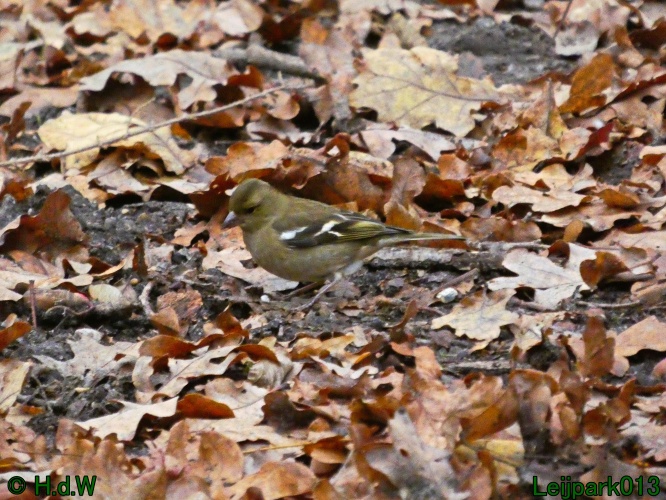 16 &amp; 17 &amp; 18 &amp; 19 december 2024