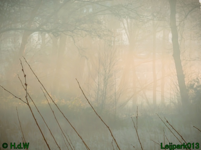 13 januari Mist en zon