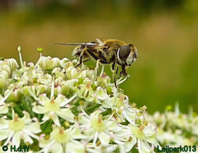 9 &amp; 10 &amp; 11 &amp; 12 juli 2024