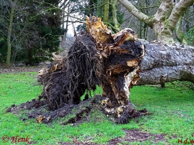 Storm terug in de tijd