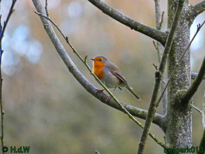 30 november &amp; 1 &amp; 2 &amp; 3 december 2024