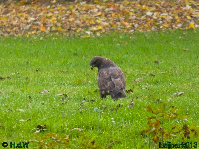 10 &amp; 11 &amp; 12 &amp; 13 november 2024