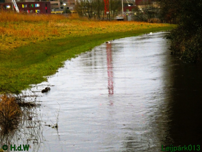 9 &amp; 10 &amp; 11 &amp; 12 januari 2025