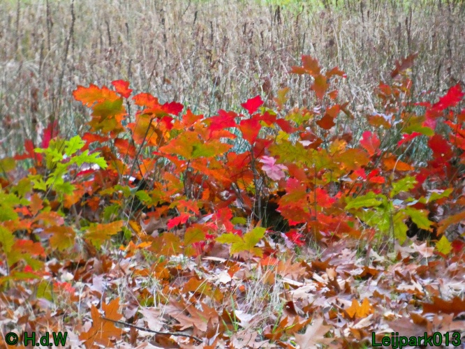 10 &amp; 11 &amp; 12 &amp; 13 november 2024