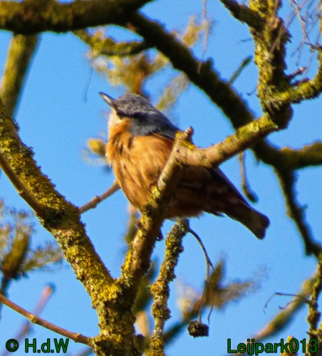 19 &amp; 20 &amp; 21 &amp; 22 maart 2025