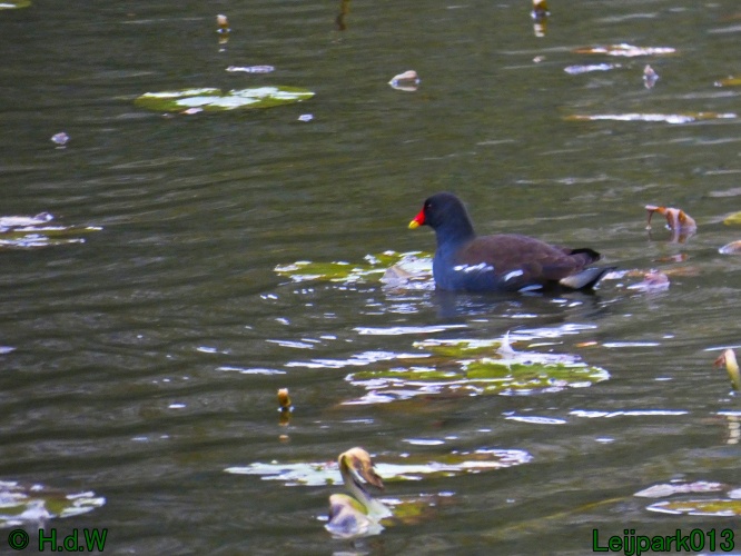 1 &amp; 2 &amp; 3 &amp; 4 oktober 2025