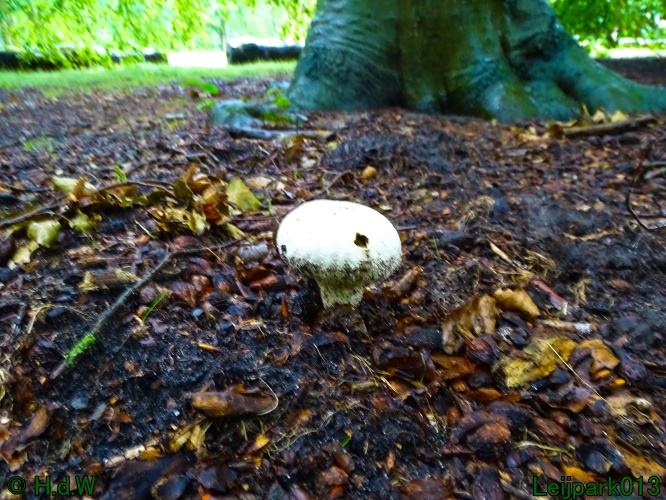 29 &amp; 30 &amp; 31 juli &amp; 1 augustus 2024