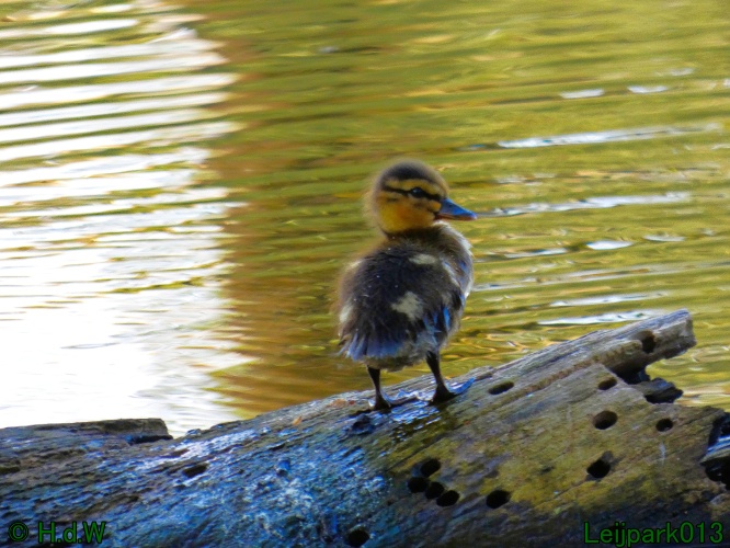 19 &amp; 20 &amp; 21 &amp; 22 maart 2025