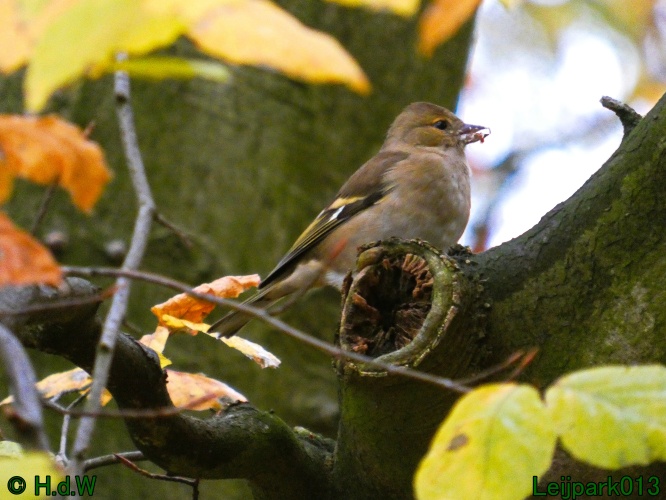 22 &amp; 23 &amp; 24 &amp; 25 november 2024