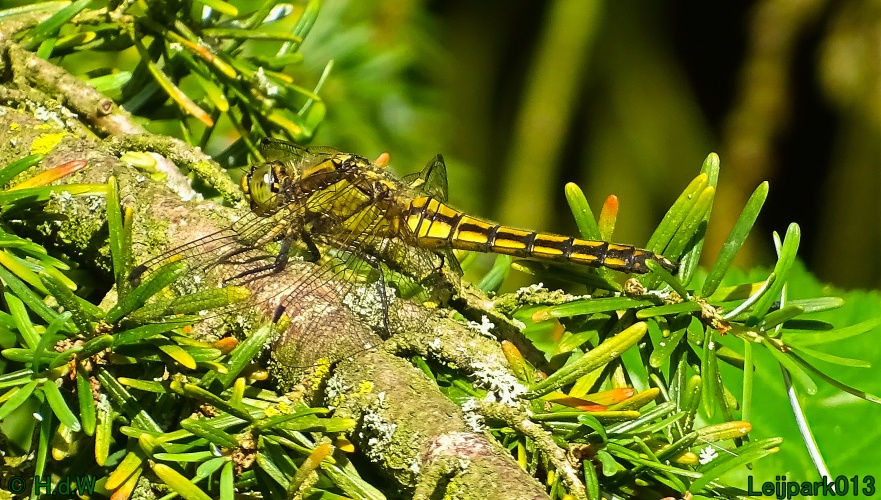 5 &amp; 6 &amp; 7 &amp; 8 juli 2024