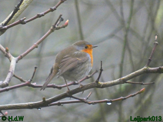 21 &amp; 22 &amp; 23 &amp; 24 januari 2025