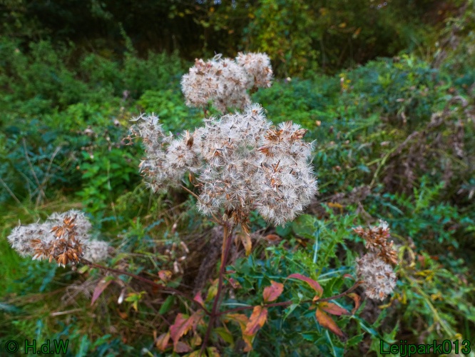 1 &amp; 2 &amp; 3 &amp; 4 oktober 2025