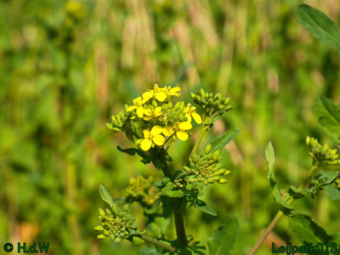 3 &amp; 4 &amp; 5 &amp; 6 april 2025