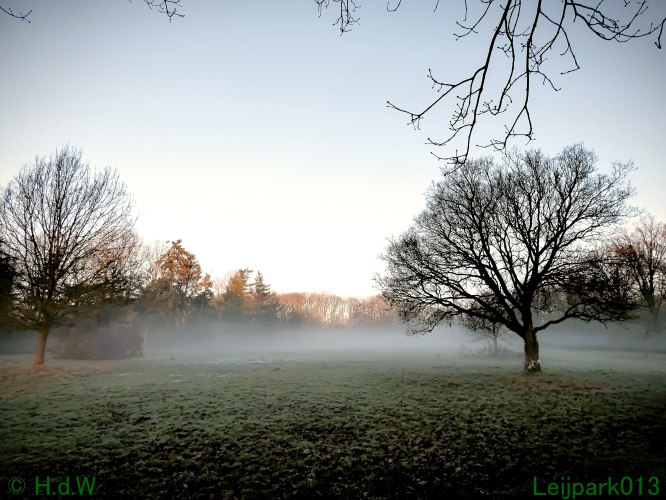 13 januari Mist en zon