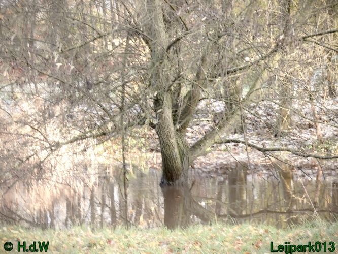 18 &amp; 19 &amp; 20 &amp; 21 november 2024