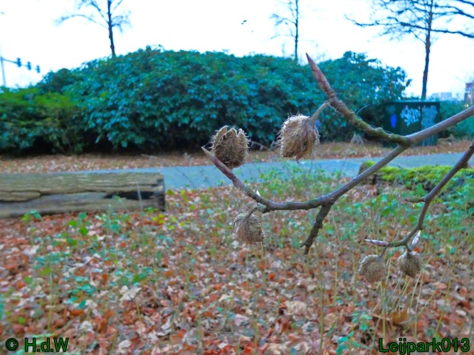 16 &amp; 17 &amp; 18 &amp; 19 december 2024