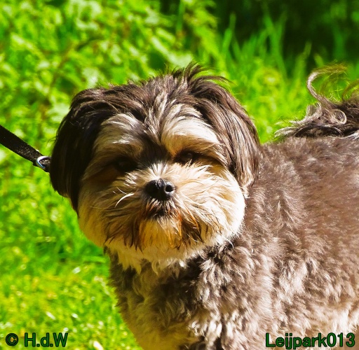 Beestenboel 12 mei 2024