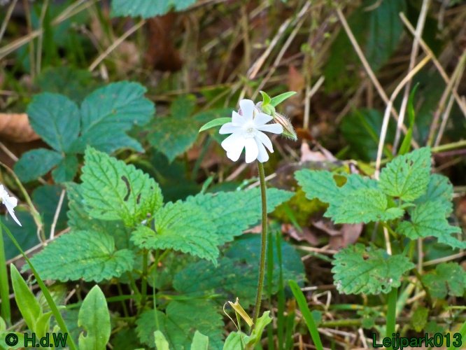 30 november &amp; 1 &amp; 2 &amp; 3 december 2024