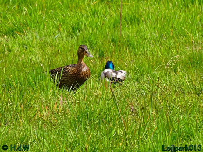 30 april 1 &amp; 2 &amp; 3 mei 2024