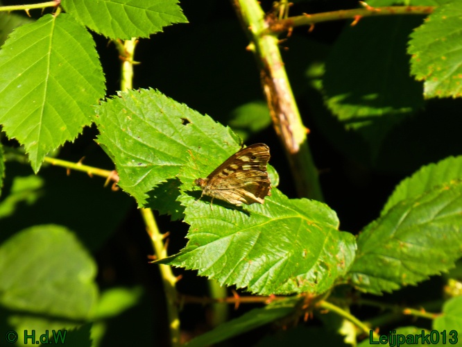 22 &amp; 23 &amp; 24 &amp; 25 augustus 2024