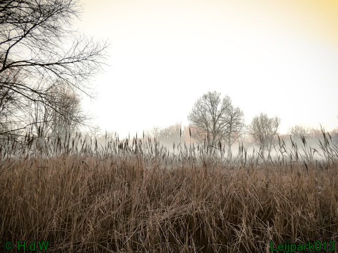 13 januari Mist en zon